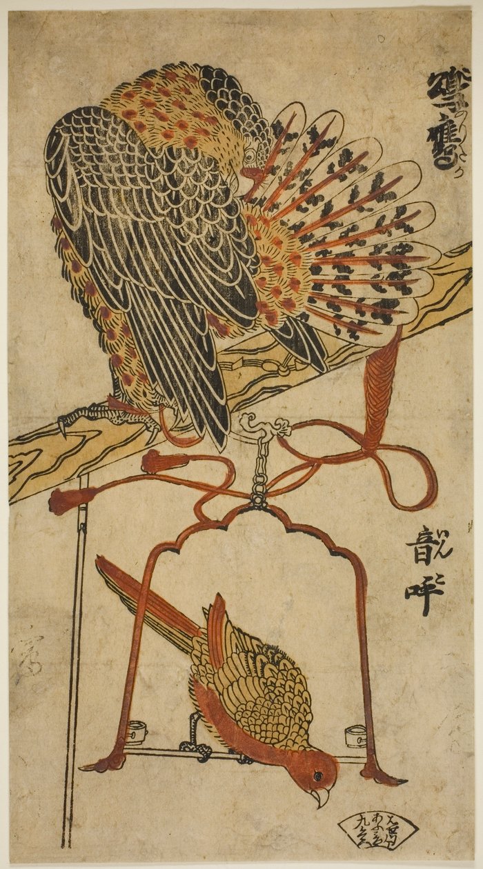 Sparviero e ara (Konori taka, inko) da Torii Kiyomasu I