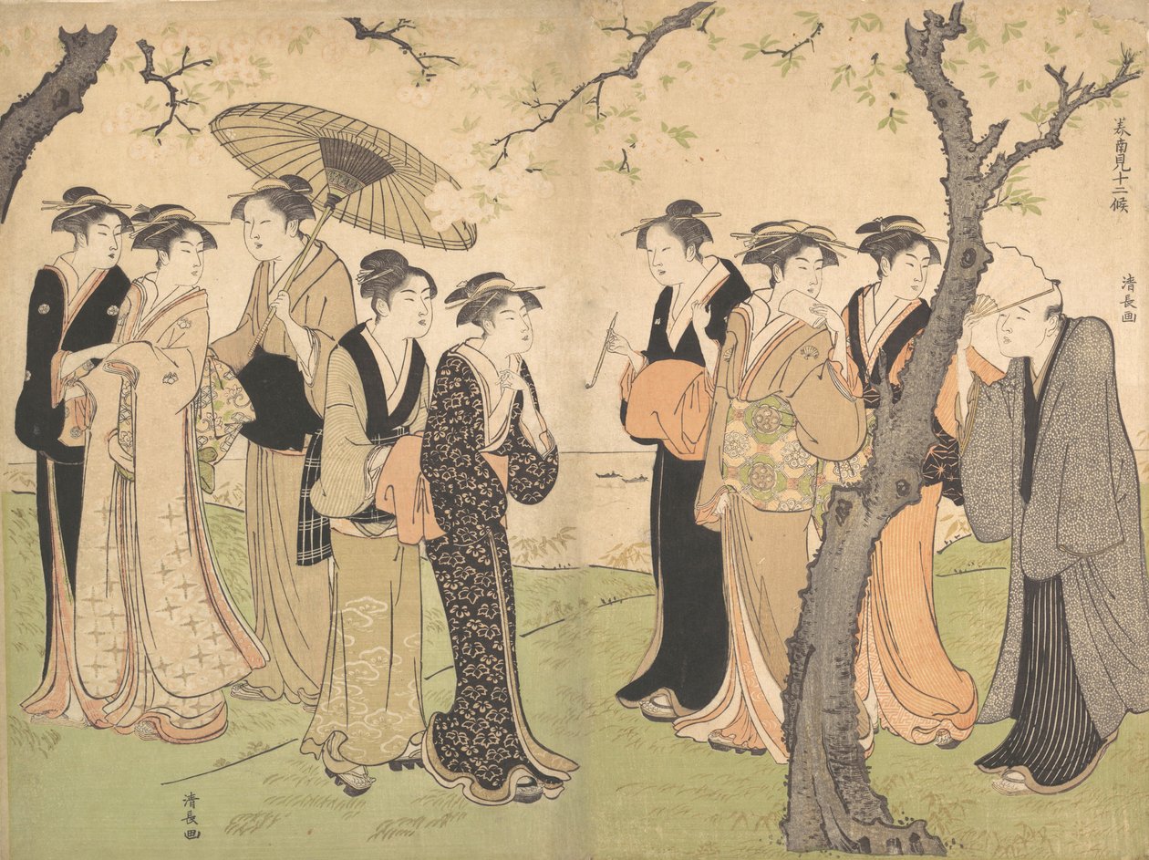Gruppo di Sei Geisha sotto i Ciliegi a Gotenyama, ca. 1785 da Torii Kiyonaga