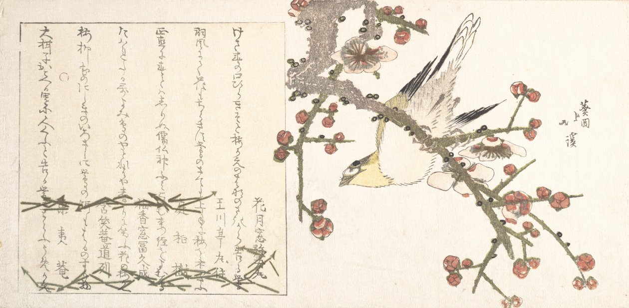 Usignolo su un ramo di prugna Ume ni uguisu da Totoya Hokkei