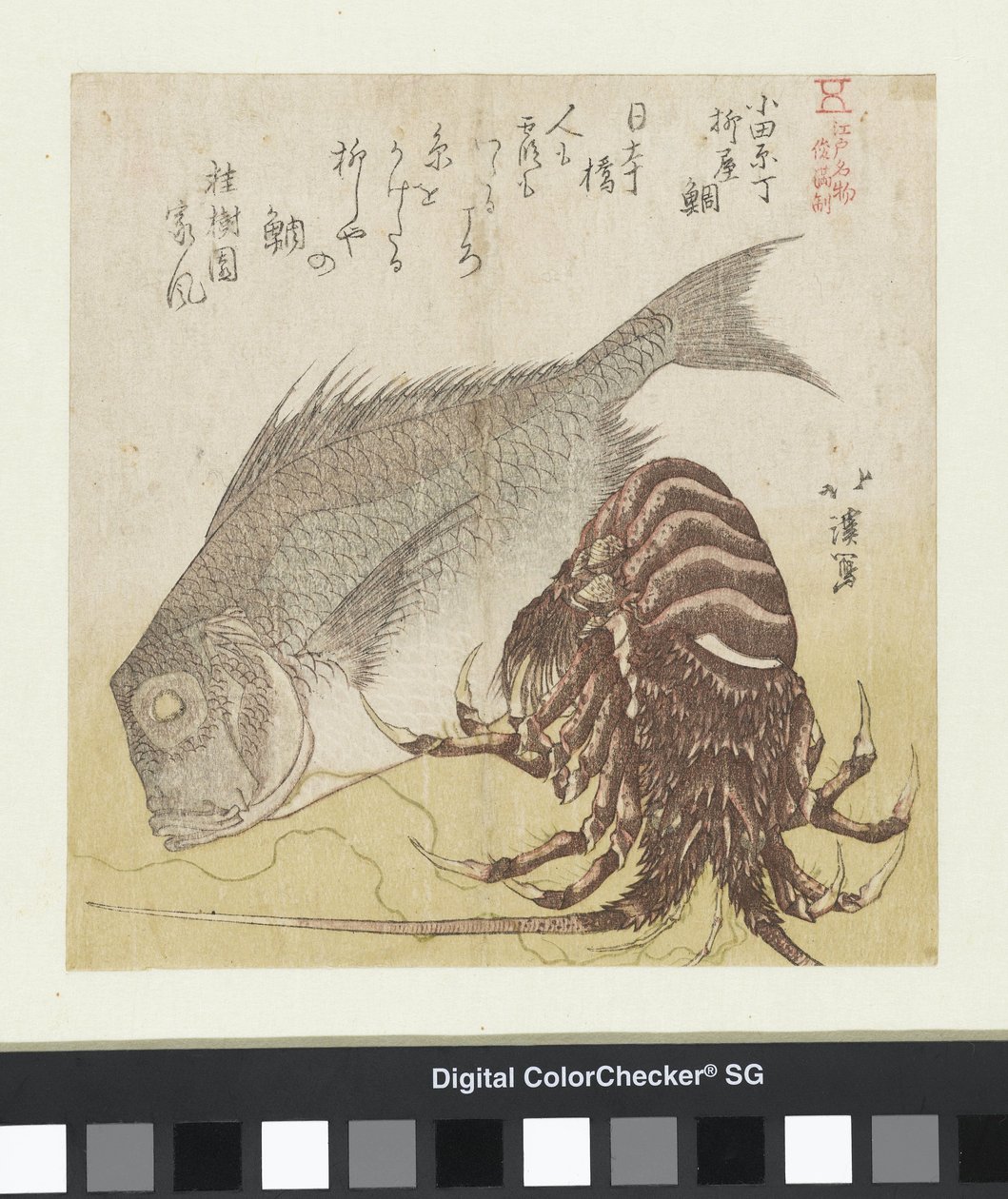 Il branzino di Yanagiya a Odawarachō da Totoya Hokkei