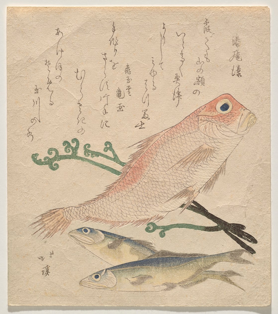 Orata rosa e due piccole trote da Totoya Hokkei