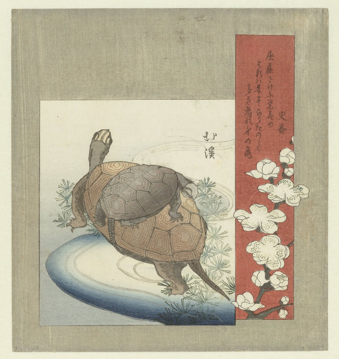 Tartarughe da Totoya Hokkei