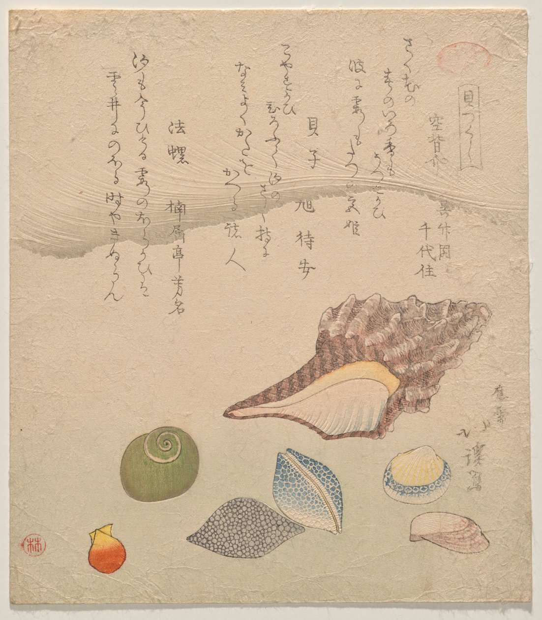 Sette conchiglie al bordo del mare, dalla serie Compendio di conchiglie (Kaizukushi) da Totoya Hokkei