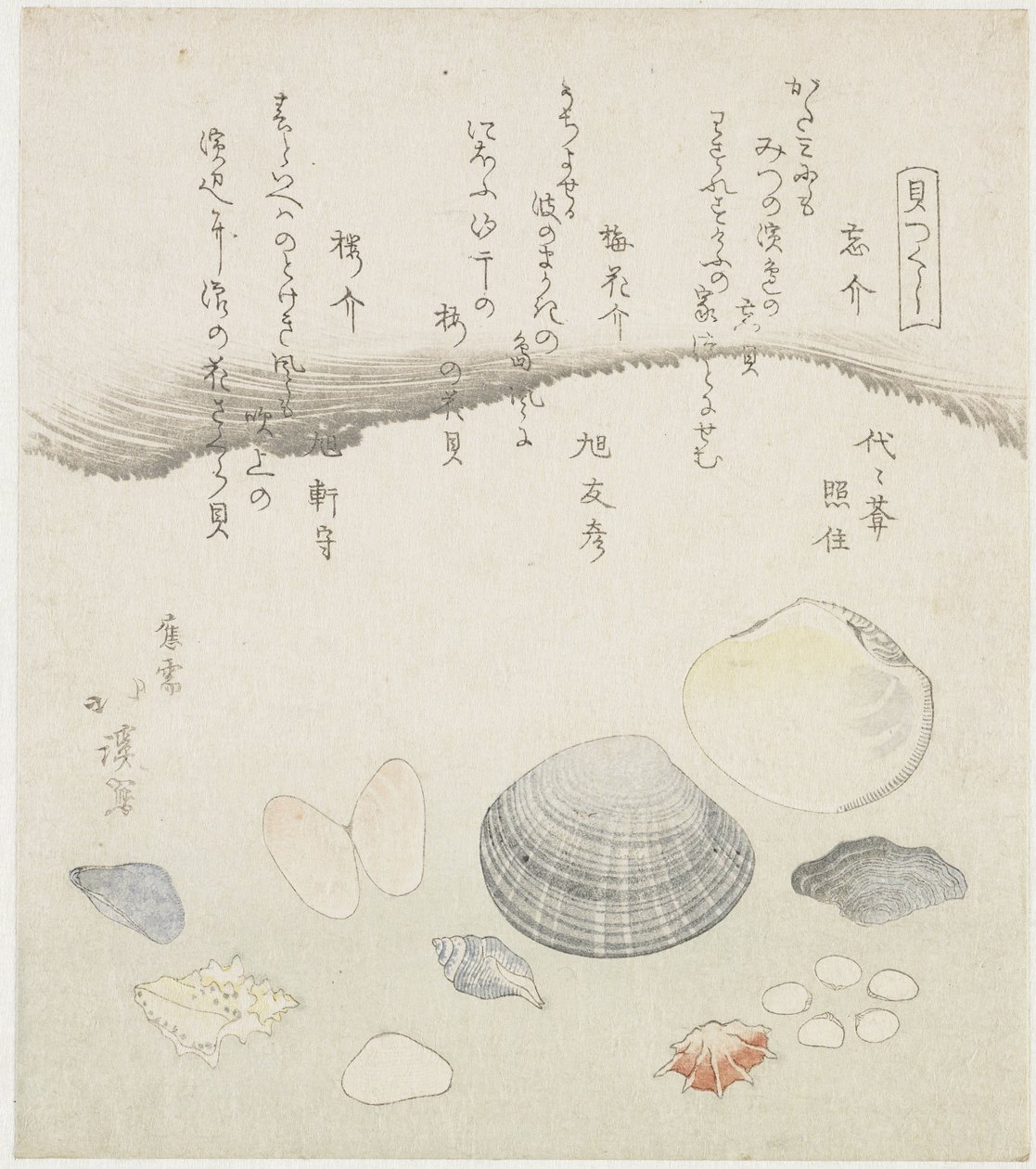 Conchiglia dimenticata, conchiglia di fiori di prugna e conchiglia di ciliegio da Totoya Hokkei