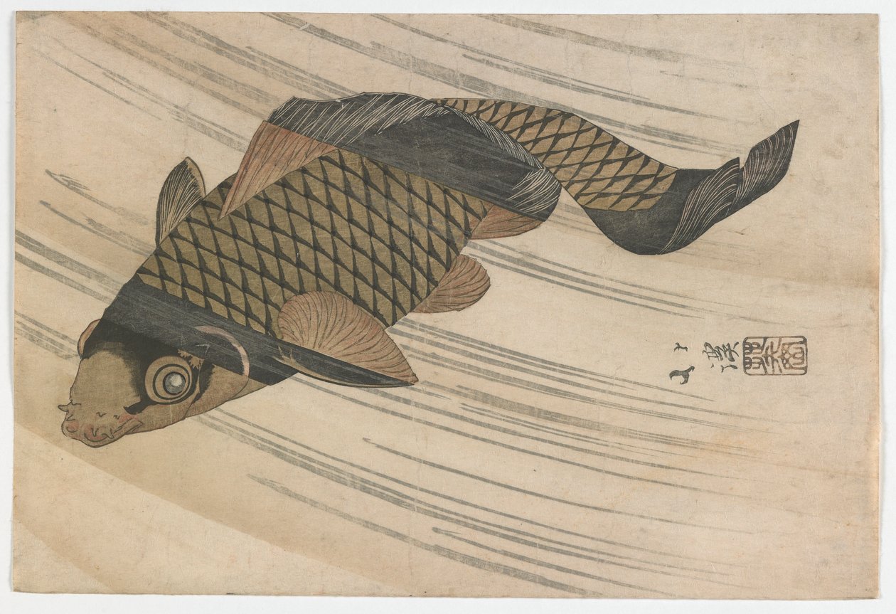 Carpa che Nuota Contro Corrente, periodo Edo, metà 1820 da Toyota Hokkei