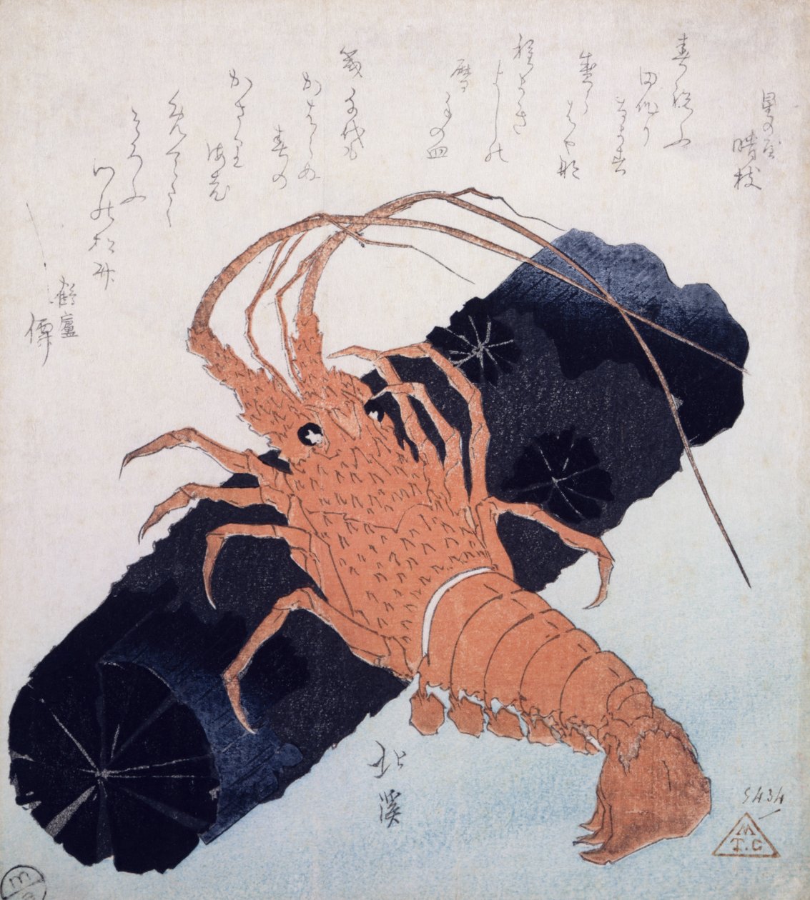 Scampo con un blocco di carbone, c.1830 da Toyota Hokkei