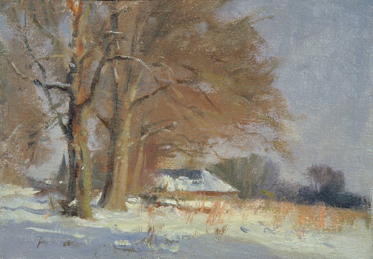 Lime nella neve da Trevor Chamberlain