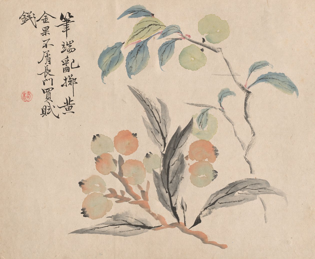 Albero di nespolo del Giappone da Tsubaki Chinzan