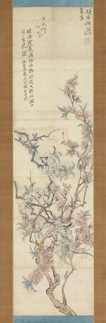 Fiori di pesco rossi e bianchi, schizzo preparatorio, 1843 da Tsubaki Chinzan