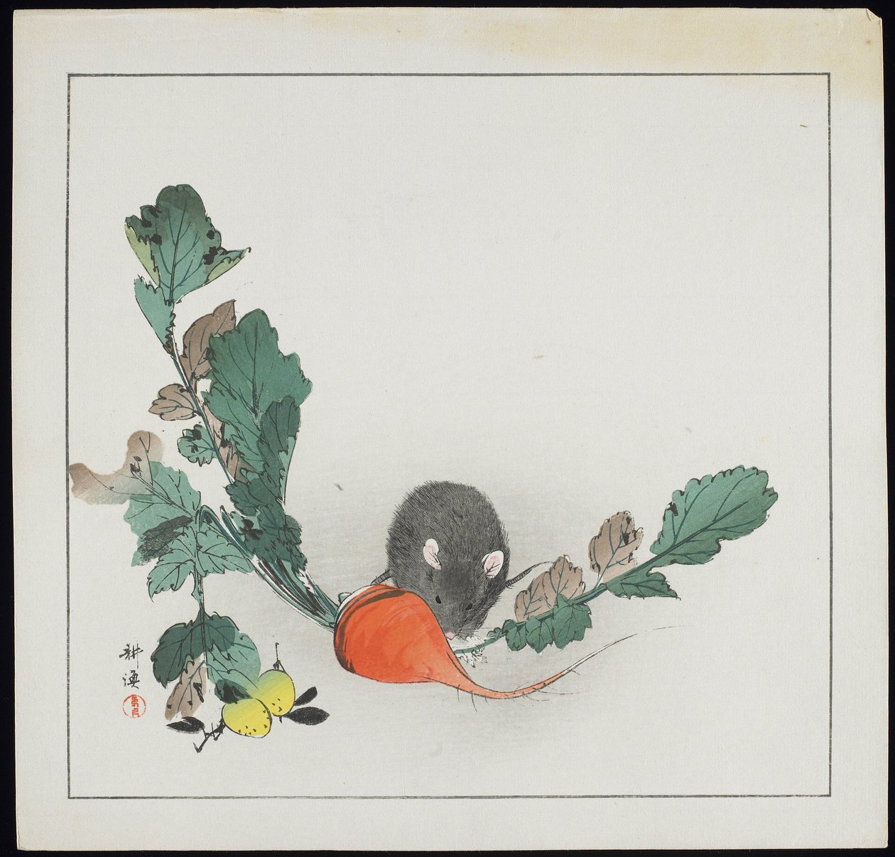 Topo e carota da Tsukioka Kogyo