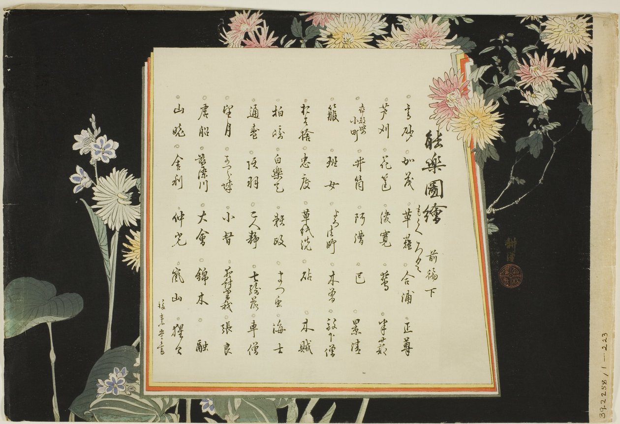Pagina dell