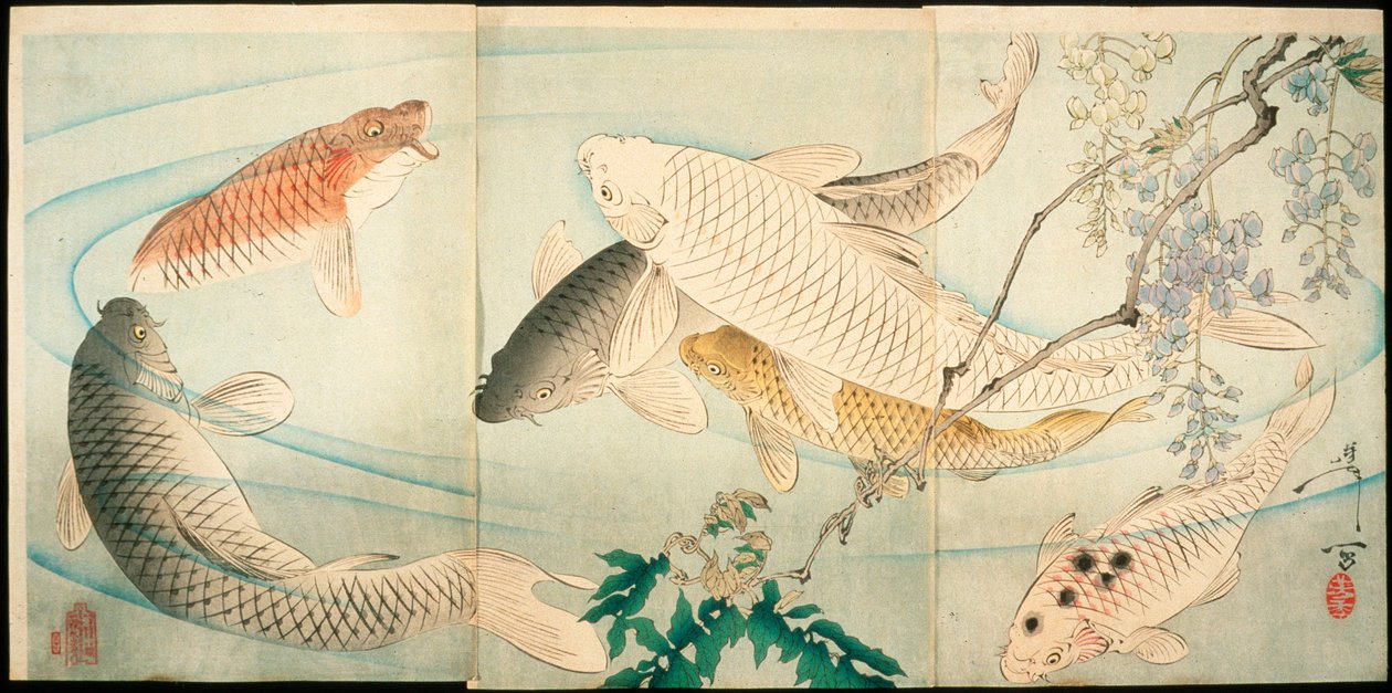 Carpa con glicine da Tsukioka Yoshitoshi