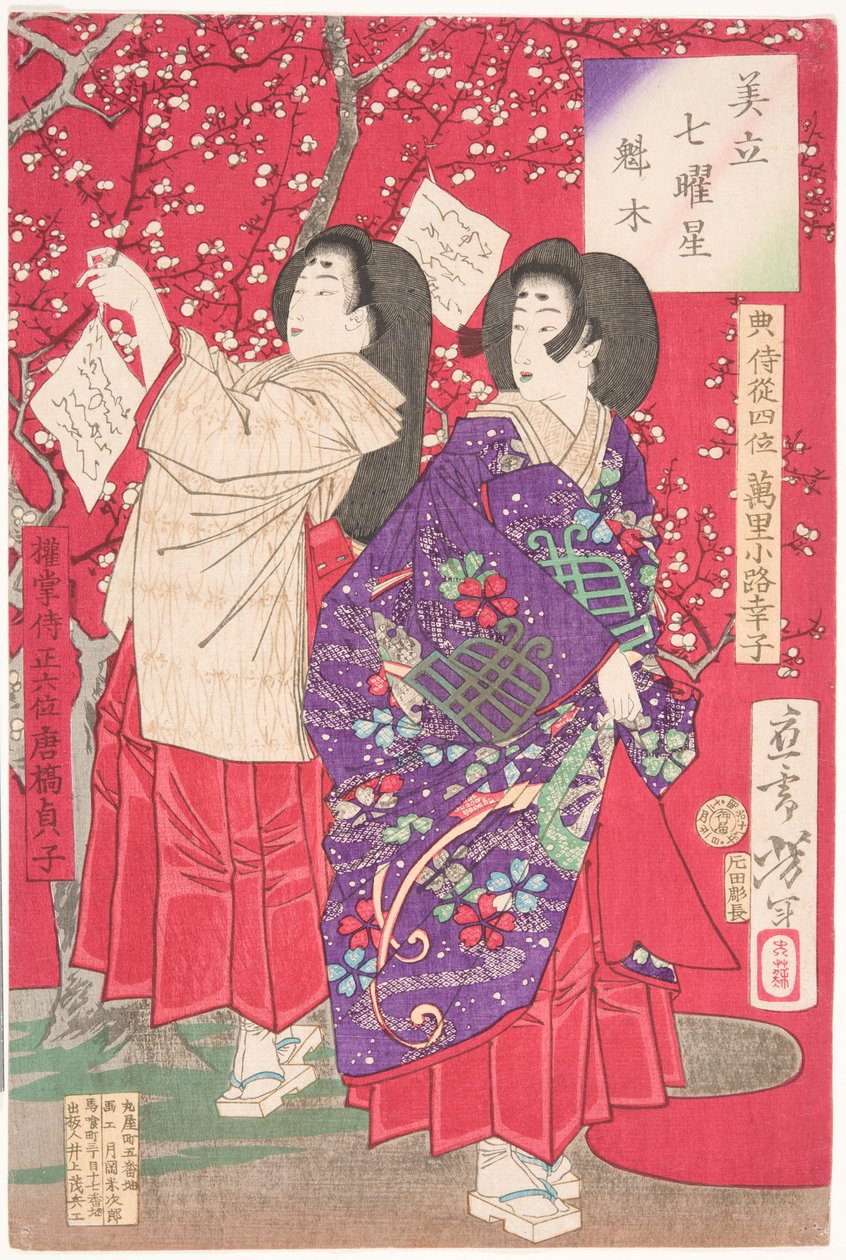 Legna per il susino da Tsukioka Yoshitoshi