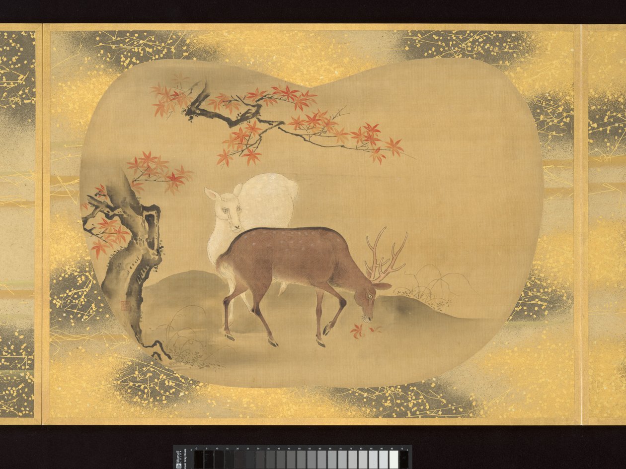 Album di dipinti a ventaglio di figure, uccelli e fiori da Tsunenobu Kano