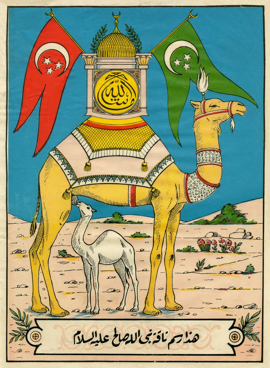 Il cammello di Saleh, Sura 7, versetto 71: (...) questo cammello di Dio è per voi un segno (...). Immagine popolare, Tunisia da Tunisian School