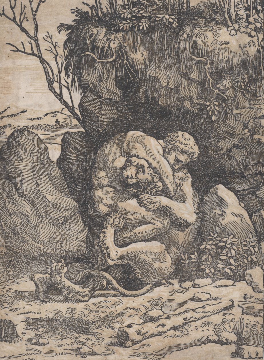 Ercole e il Leone Nemeo da Ugo da Carpi