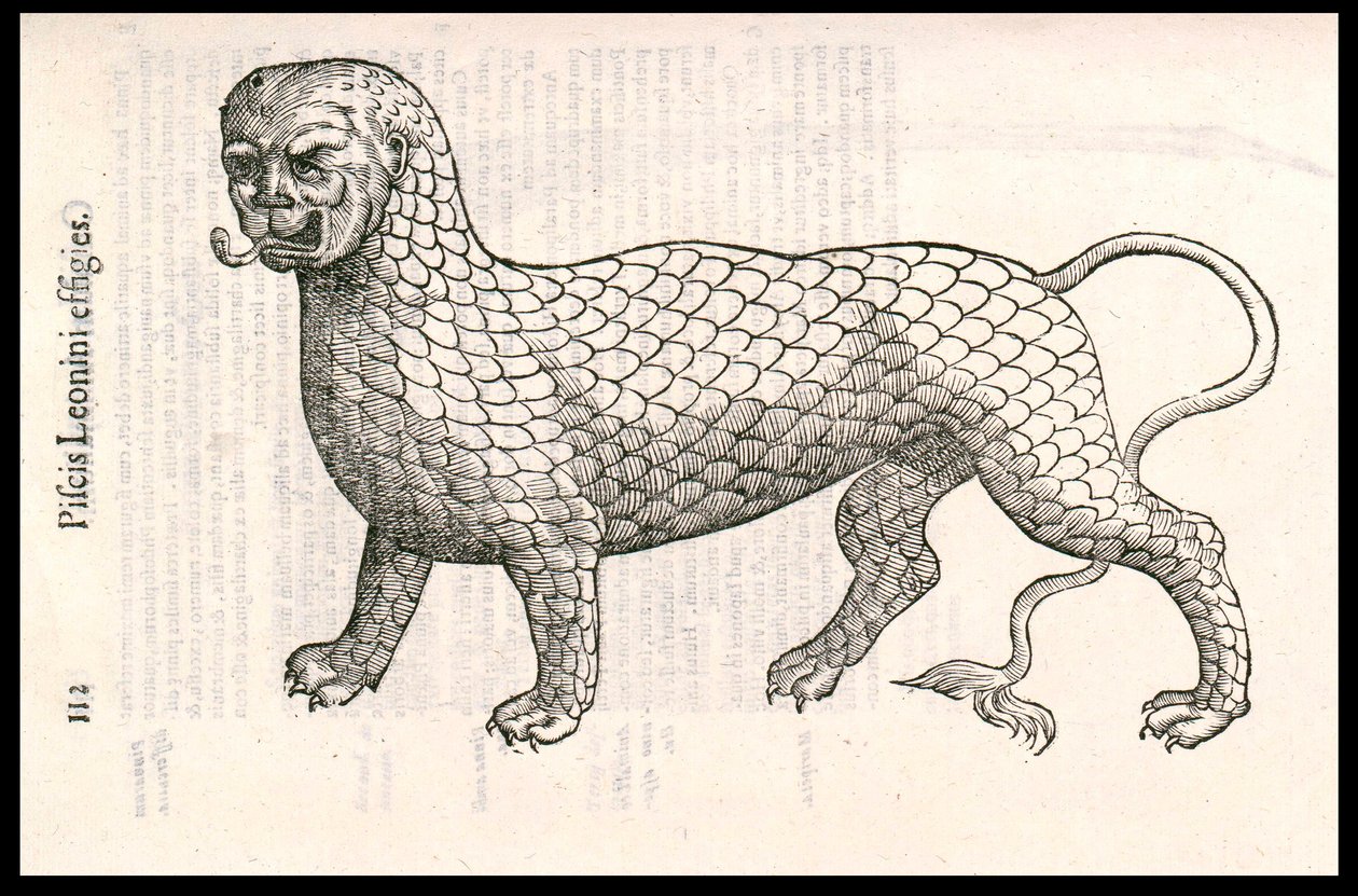 Creatura mostruosa: un leone coperto di scaglie di pesce (o pesce leone). Incisione di Ulisse Aldrovandi (1522-1605), "Monstrorum Historiae", Bologna 1642 da Ulisse Aldrovandi
