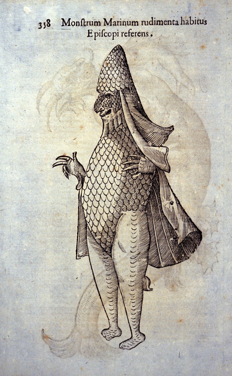 Il vescovo del mare, pesce immaginario e mostro marino di Ulisse Aldrovandi (1522-1605), "Monstrorum Historiae", Bologna 1642 da Ulisse Aldrovandi