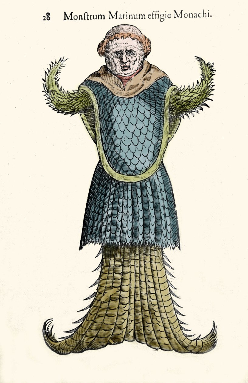 Il monaco marino, pesce immaginario e mostro marino di Ulisse Aldrovandi (1522-1605), "Monstrorum Historiae", Bologna 1642 da Ulisse Aldrovandi
