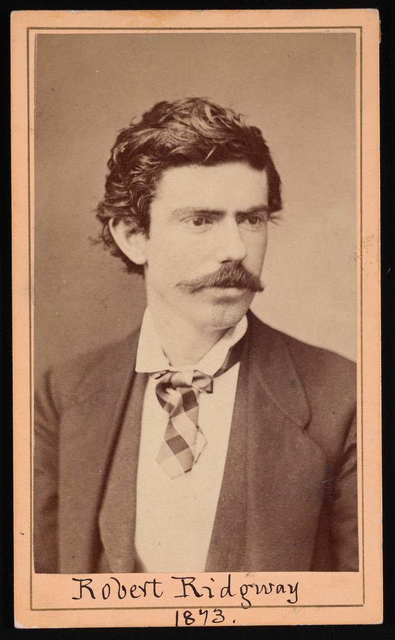 Ritratto di Robert Ridgway, aprile 1873 da Ulke Bros