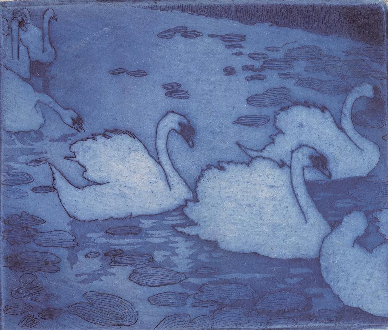 Cigni da Umberto Boccioni