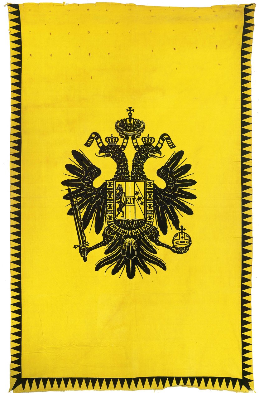 Bandiera dell