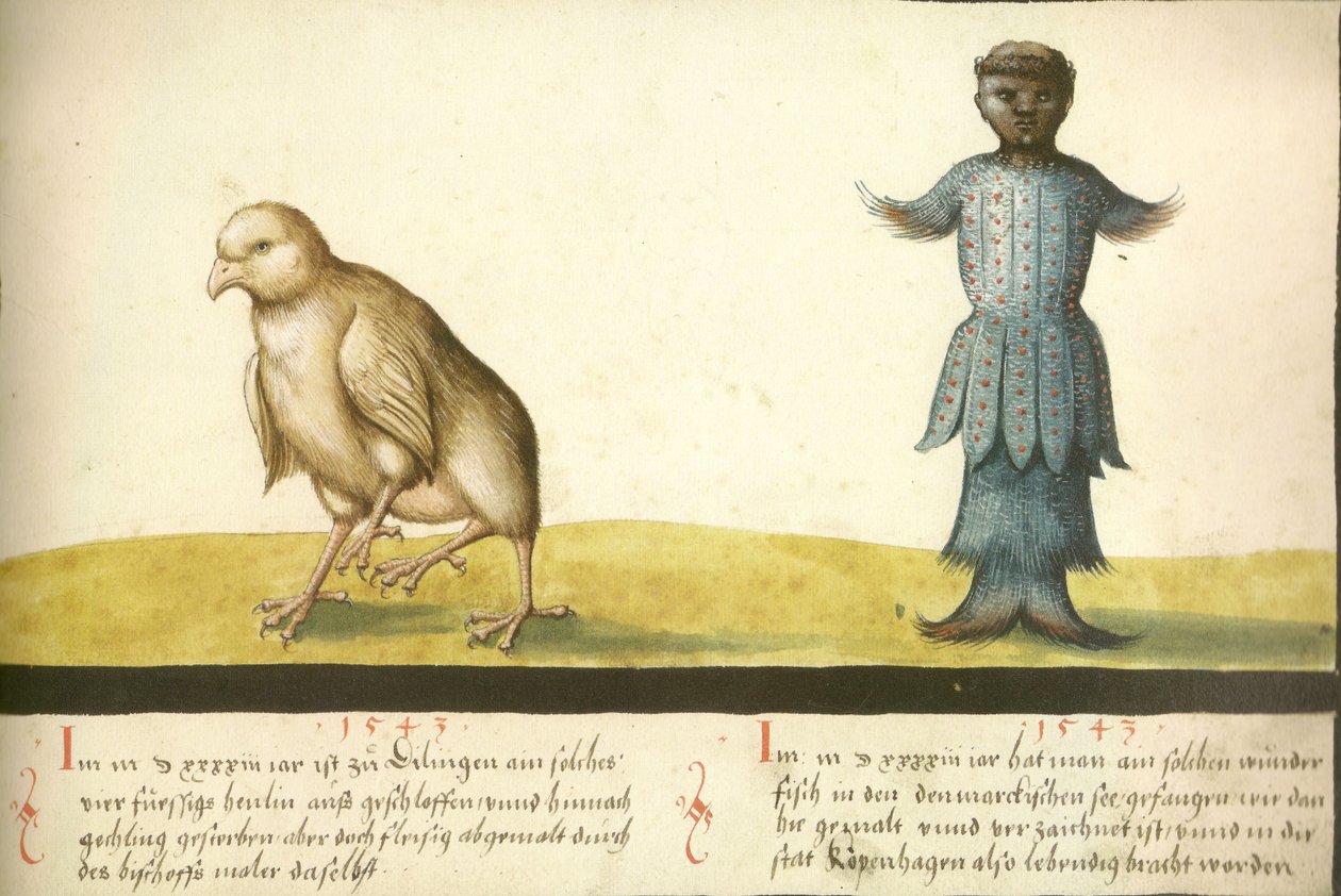 Folio 145 - Gallina miracolosa e pesce miracoloso 1543 da Unbekannt Unbekannt