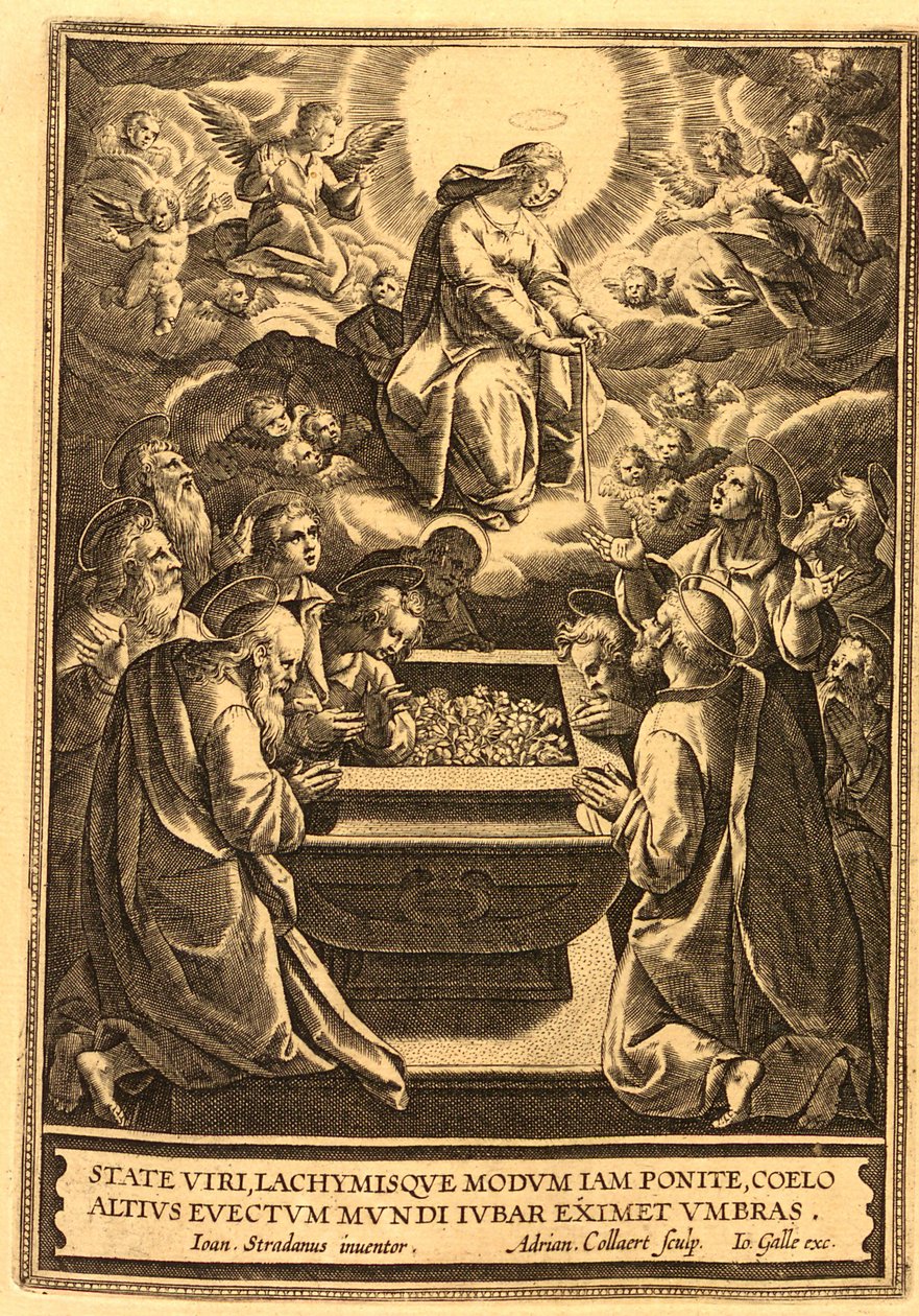 Storia del Nuovo Testamento - 1722 - (127) da Unbekannt Unbekannt