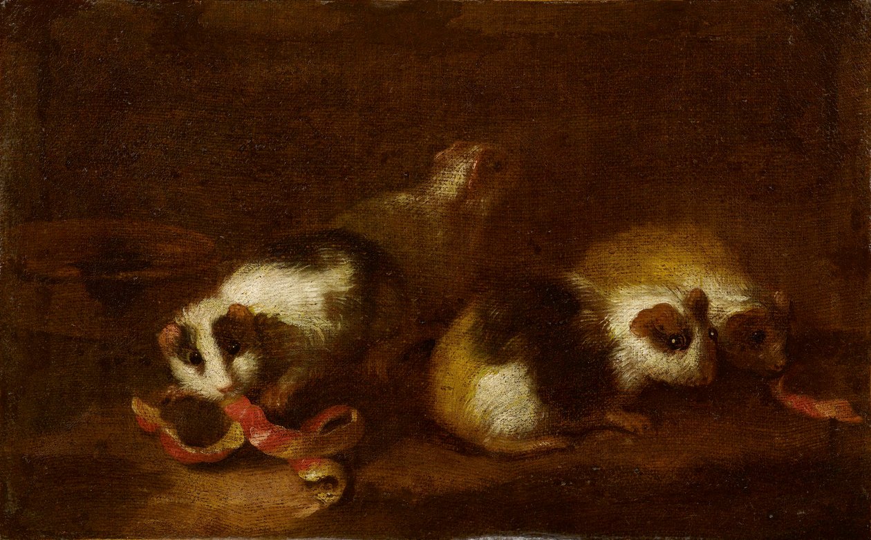 Porcellini d
