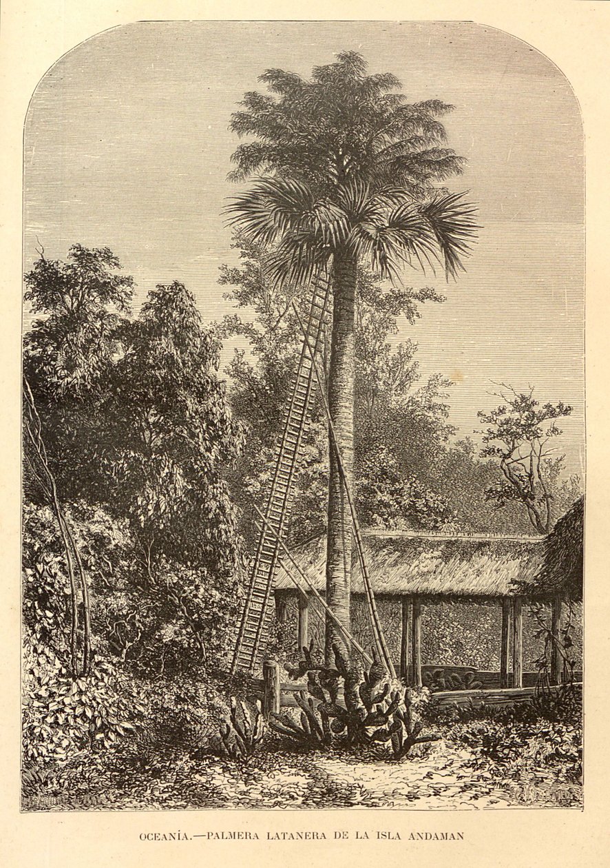 Nuova geografia universale da Unbekannt Unbekannt