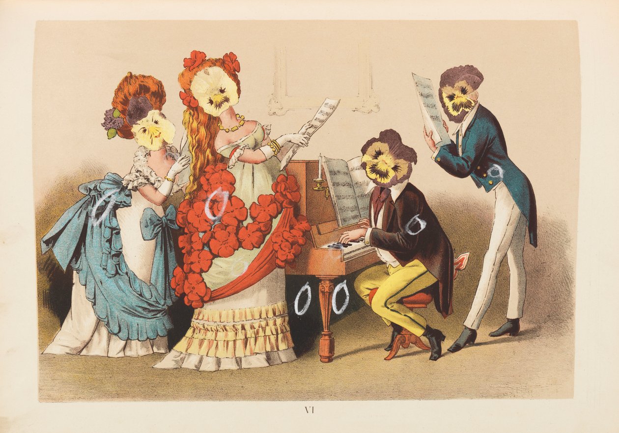 Illustrazione di Viola Tricolor da Unbekannt Unbekannt