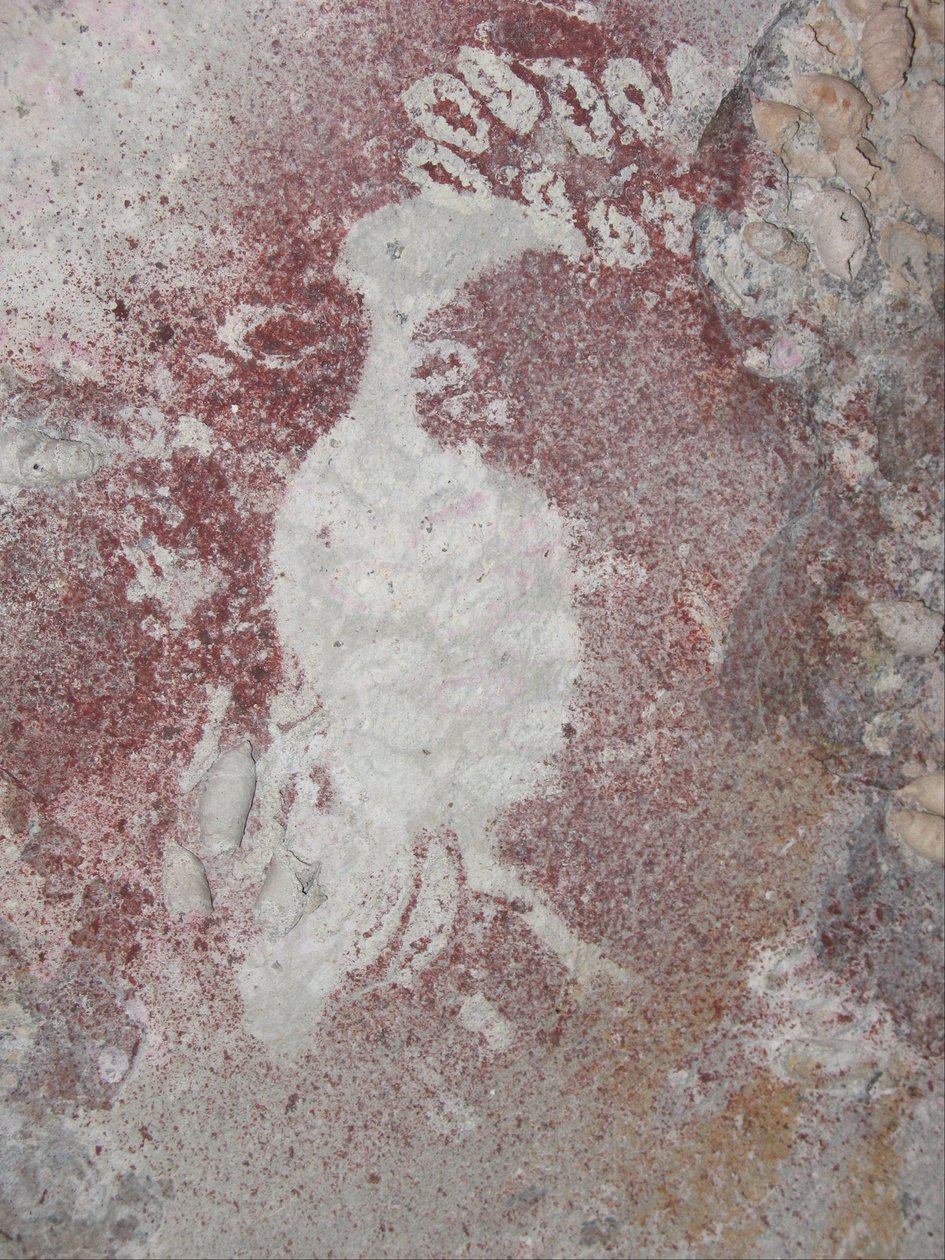 Stencil di uccello 4 da Unbekannt Unbekannt
