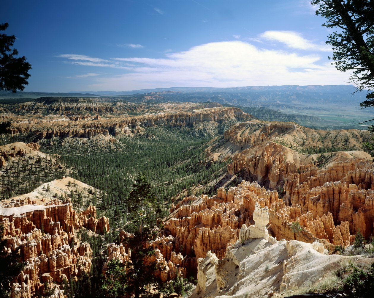 Parco Nazionale del Bryce Canyon, Utah da Unbekannt Unbekannt