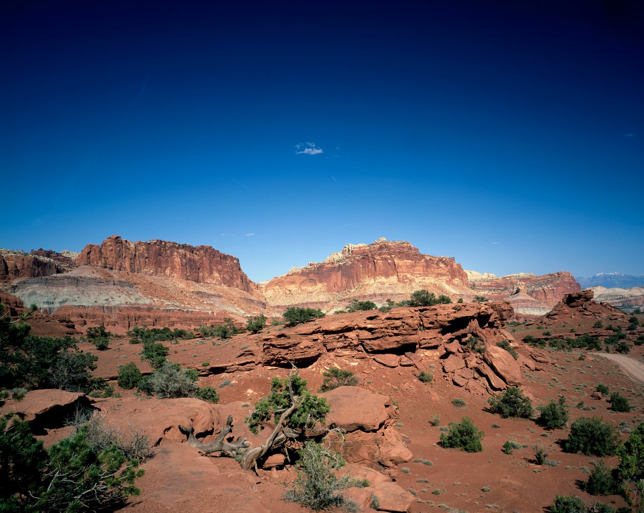 Cupola del Campidoglio e Chimney Rock, Capitol Reef National Park, Utah da Unbekannt Unbekannt