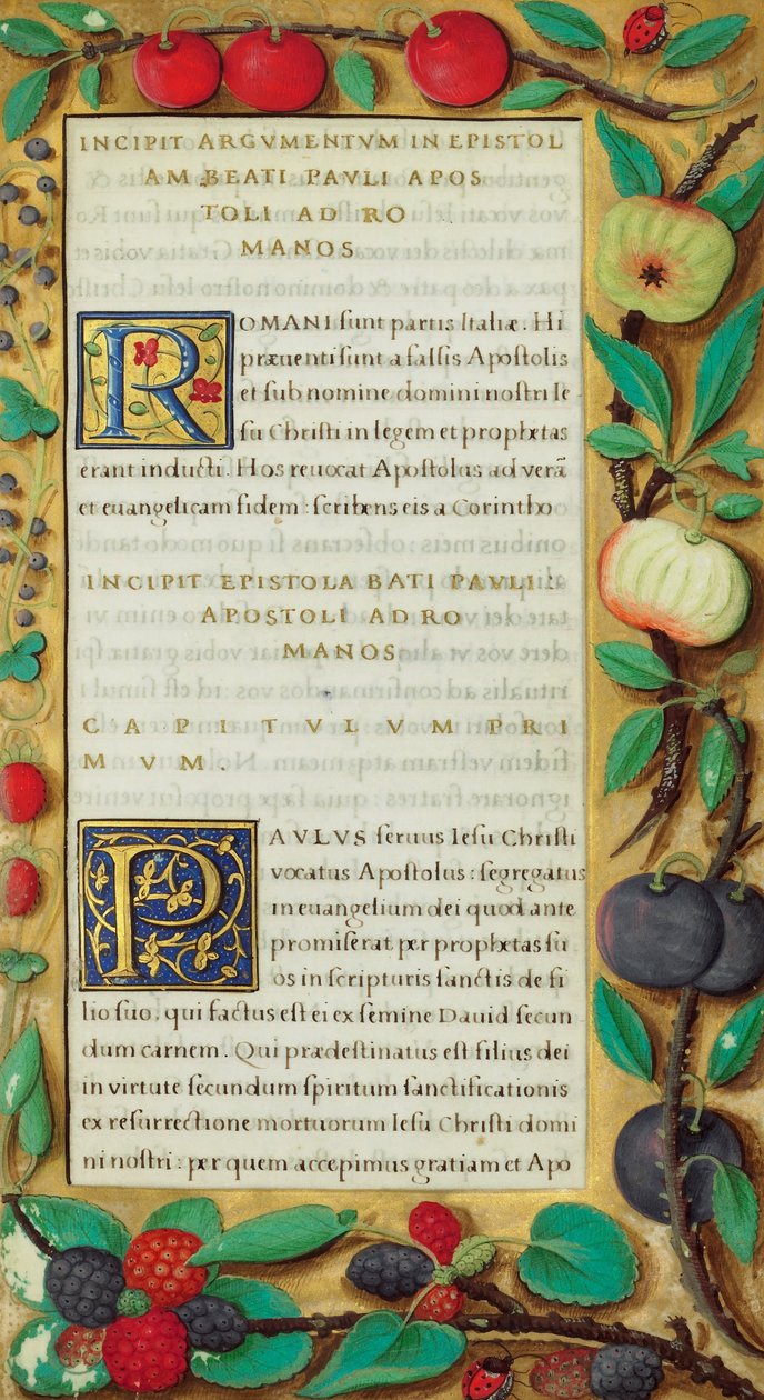 Pagina di Testo Decorata da Unbekannt Unbekannt