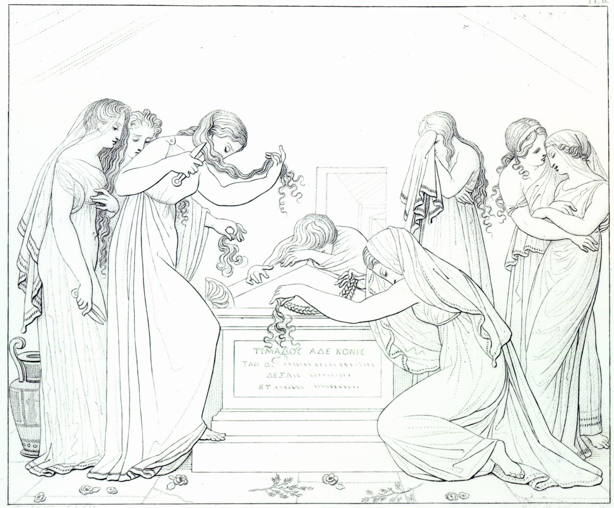 Illustrazione dal 