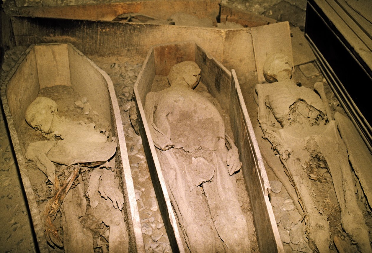 Corpi mummificati da Unbekannt Unbekannt