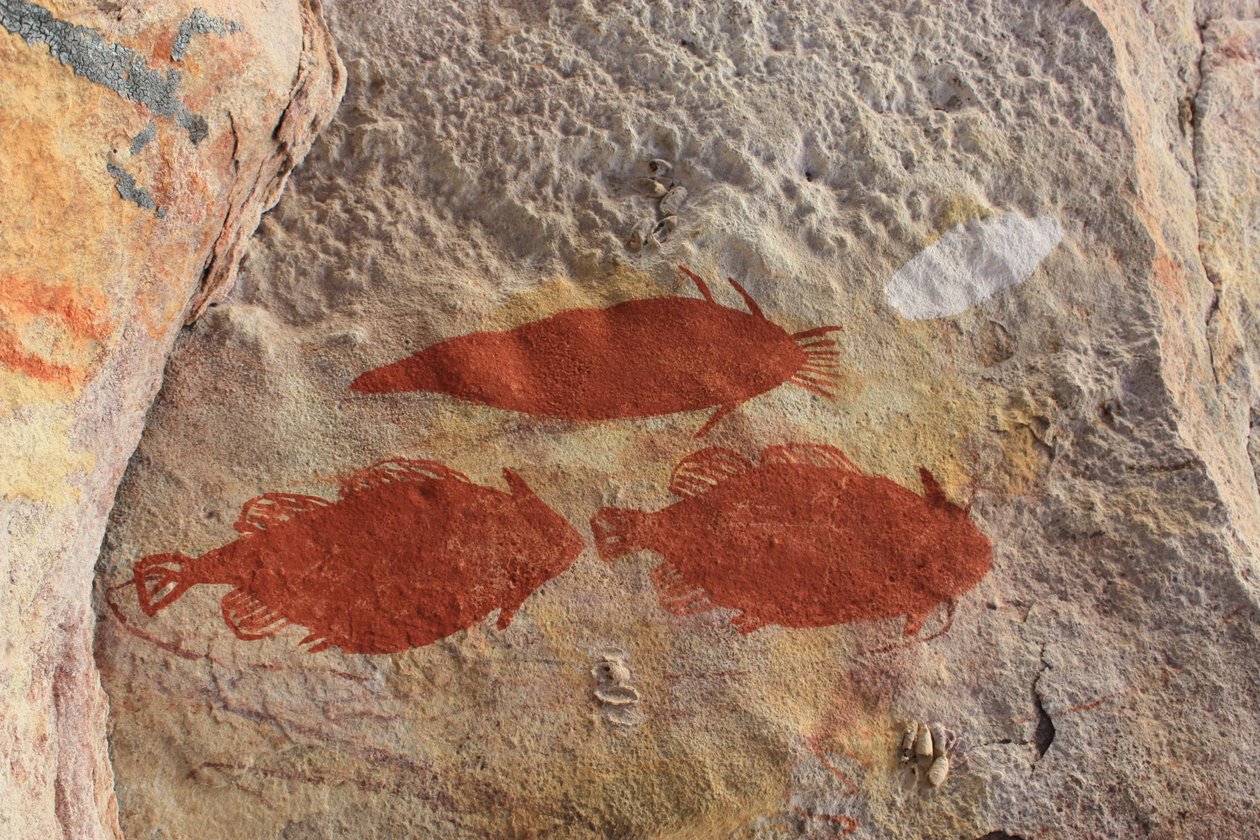 Pesce ocra rossa da Unbekannt Unbekannt