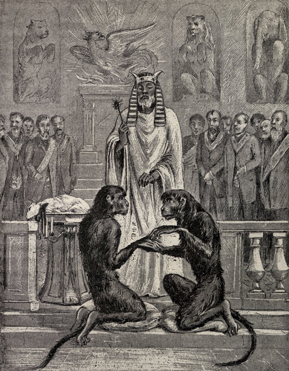 Sacrificio dell