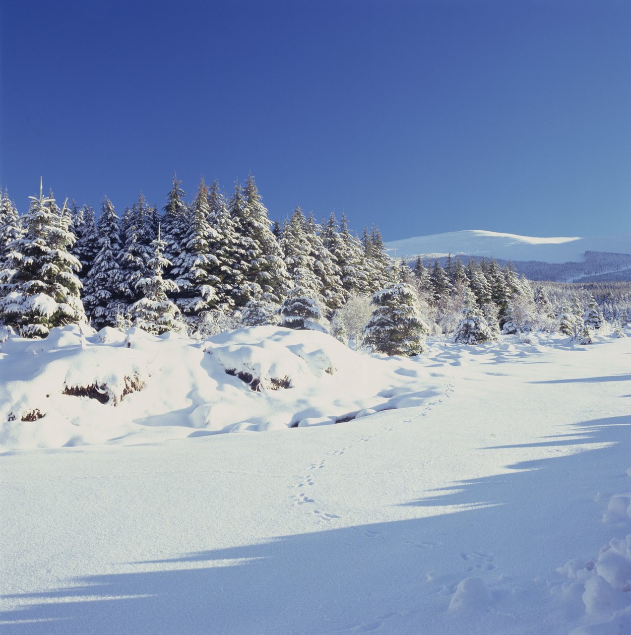 Le montagne di Wicklow in inverno da Unbekannt Unbekannt