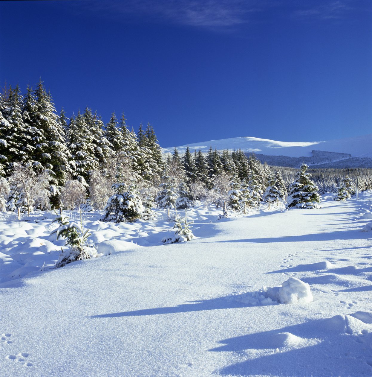 Le montagne di Wicklow in inverno da Unbekannt Unbekannt