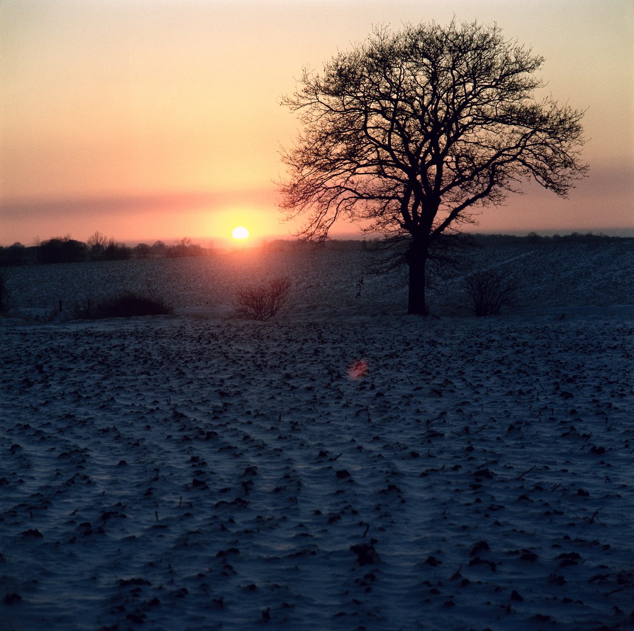 Tramonto invernale, Essex da Unbekannt Unbekannt
