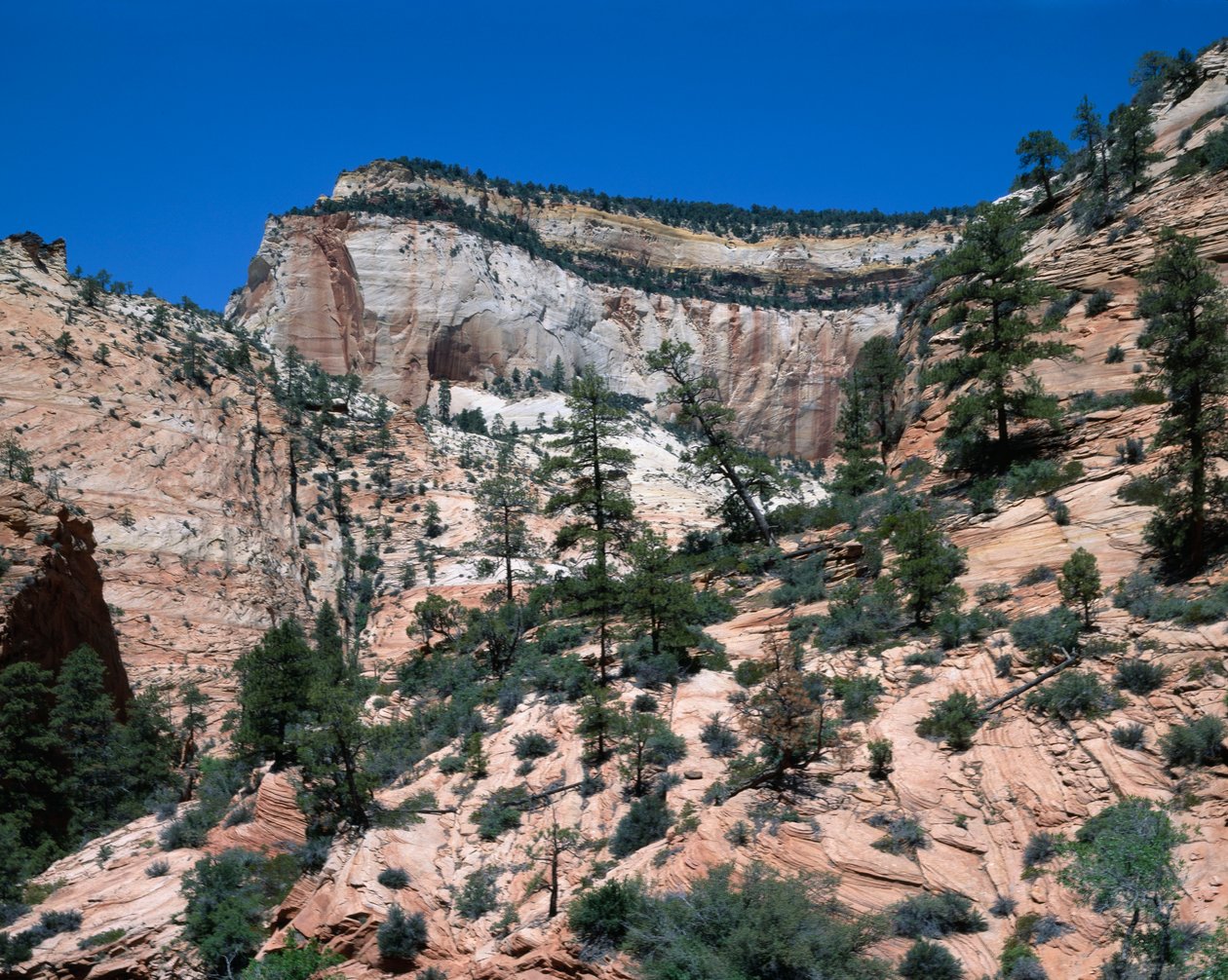 Parco Nazionale di Zion, Utah da Unbekannt Unbekannt