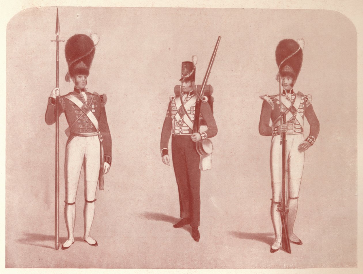 1° o Reggimento Granatieri delle Guardie nel 1815, 1909 da Unbekannt