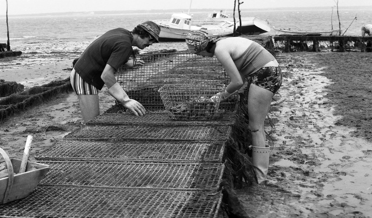 Ostricoltore in Vandea, agosto 1974 da Unbekannt