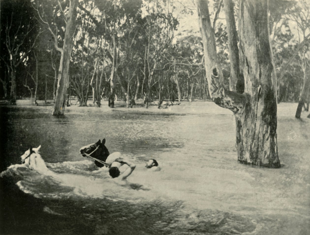 Un banchiere, 1901 da Unbekannt