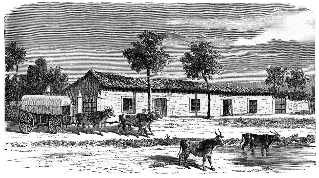 Una fattoria boera, Sudafrica, c1890 da Unbekannt