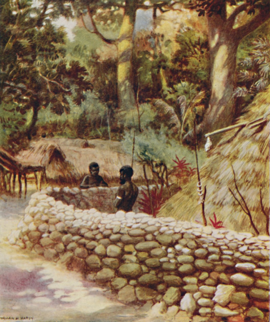 Casa di un capo, Nuove Ebridi, 1923 da Unbekannt