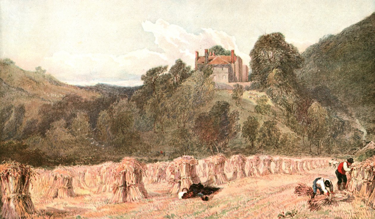 Un Campo di Grano, c1840s, c1900 da Unbekannt