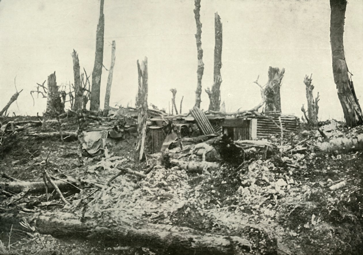Un rifugio in quello che una volta era un bosco silvano, 1919 da Unbekannt